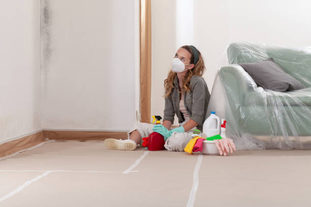 Reliable Basement Mold Remediation contractor in Naples, FL by WQB Mold Removal